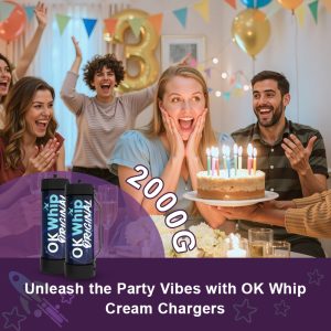 3.3L Whipped Cream Chargers Nitrous Oxide N2O 2000g OKwhip - Image 4